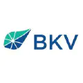 BKV Company Logo