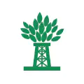 Newpark Company Logo